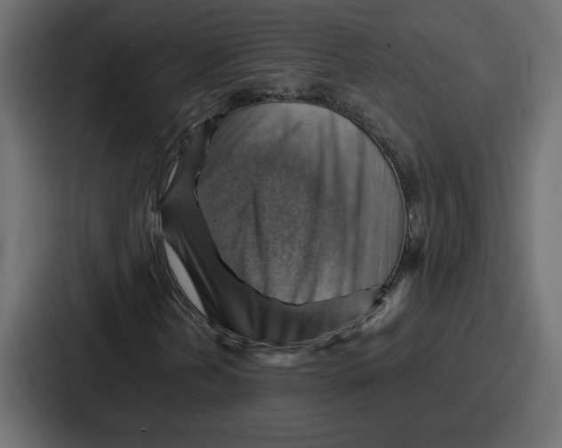 X0000086771202200705111728