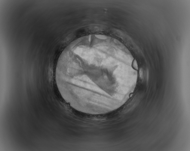 X0000086771203200705111728