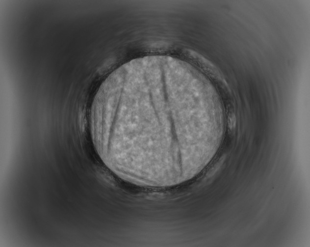 X0000086771204200705111728