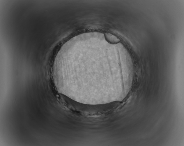 X0000086771207200705111728