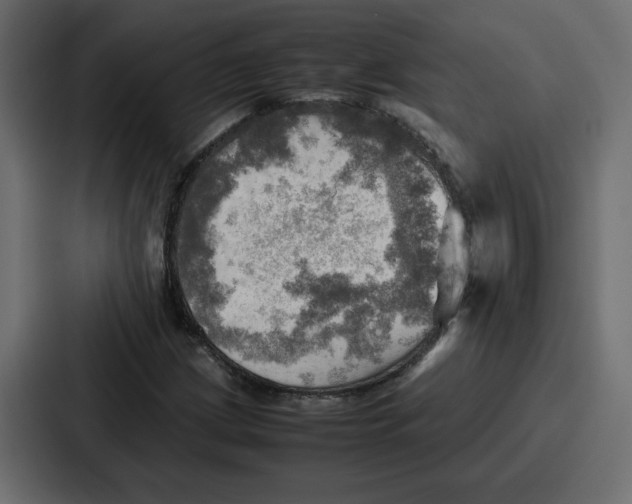 X0000086771209200705111728