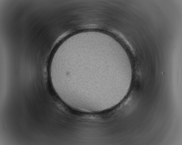 X0000086771218200705111728