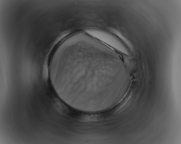 X0000086771221200705111728