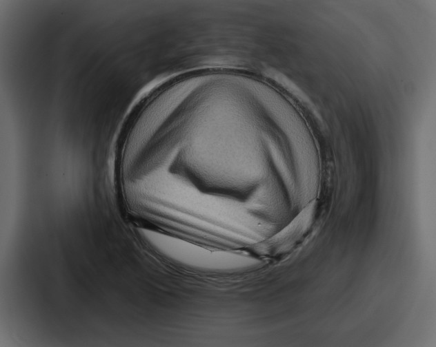 X0000086771222200705111728