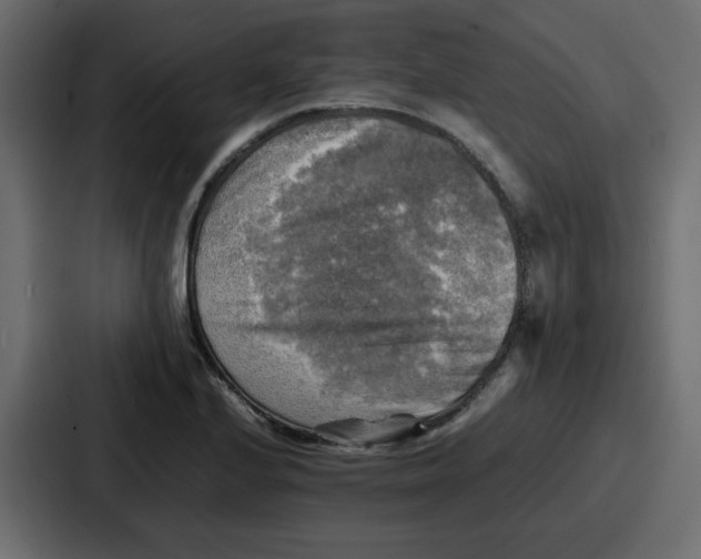 X0000086771224200705111728