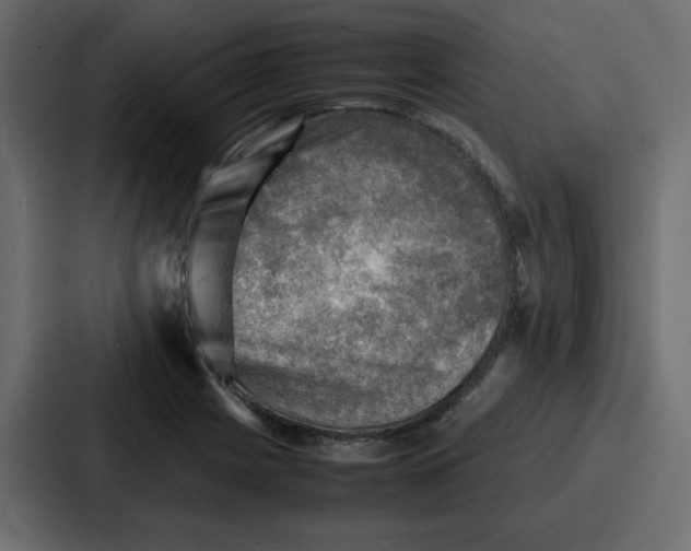 X0000086771225200705111728