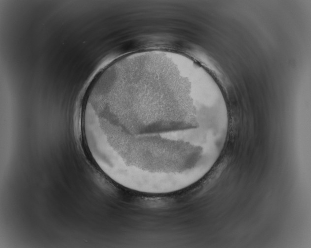 X0000086771227200705111728