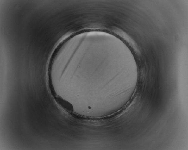 X0000086771229200705111728
