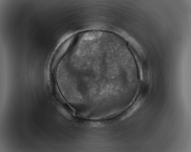 X0000086771230200705111728