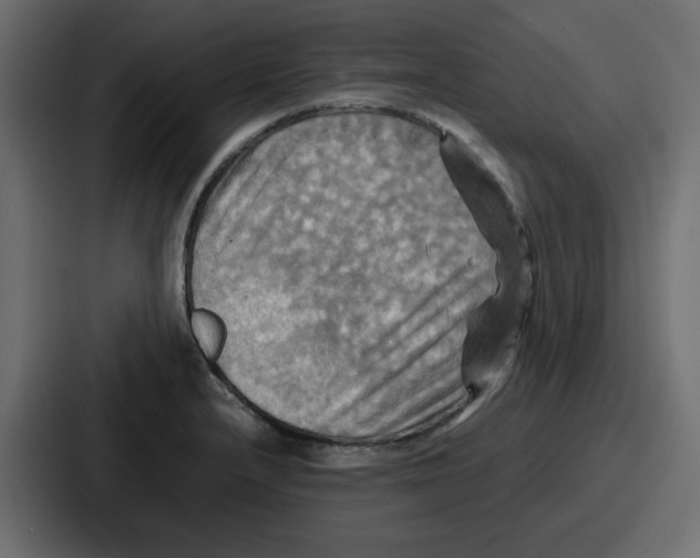X0000086771232200705111728