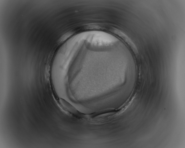 X0000086771233200705111729