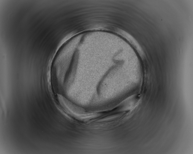X0000086771234200705111729