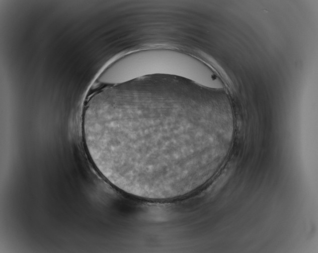 X0000086771236200705111729