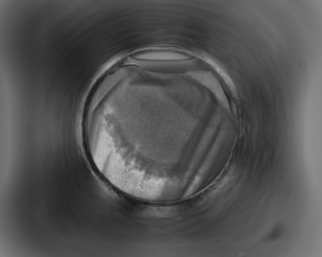 X0000086771237200705111729