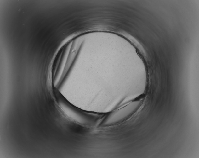X0000086771238200705111729
