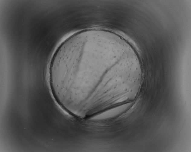 X0000086771239200705111729