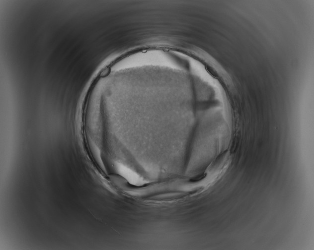 X0000086771240200705111729