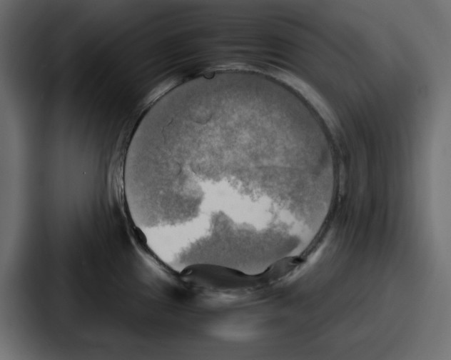 X0000086771241200705111729