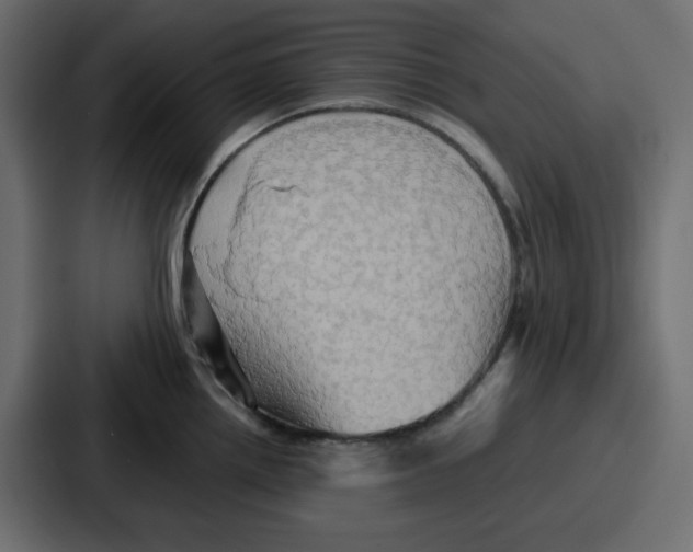 X0000086771242200705111729
