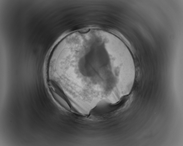 X0000086771243200705111729
