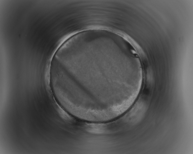 X0000086771244200705111729