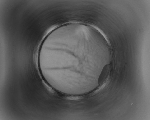 X0000086771245200705111729