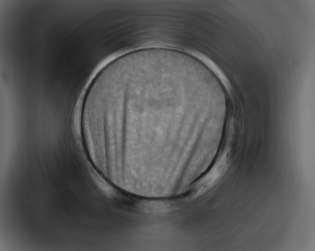 X0000086771246200705111729
