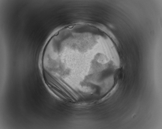 X0000086771247200705111729