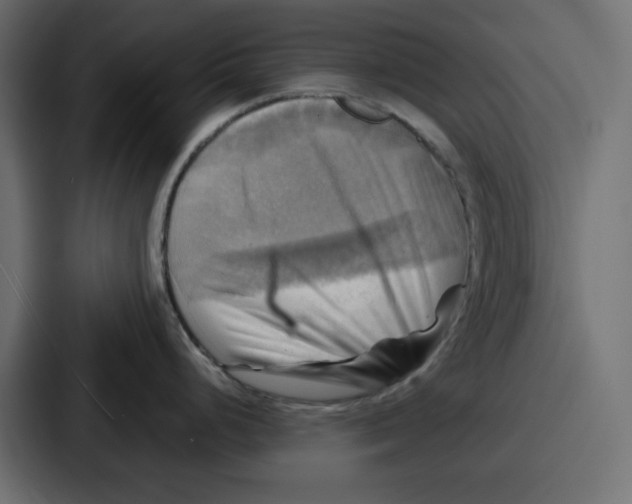 X0000086771248200705111729