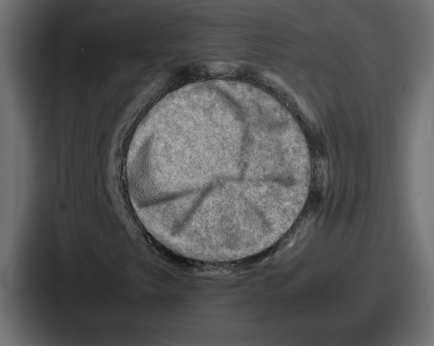 X0000086771249200705111728