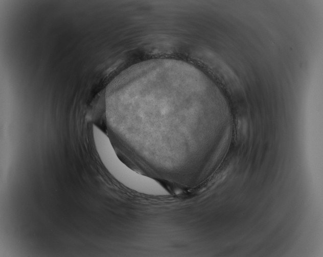 X0000086771250200705111728