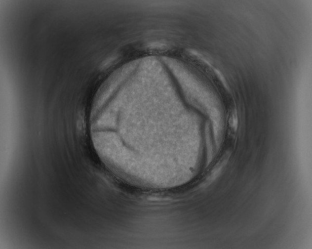 X0000086771252200705111728