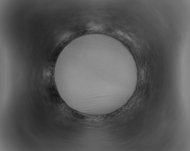 X0000086771254200705111728