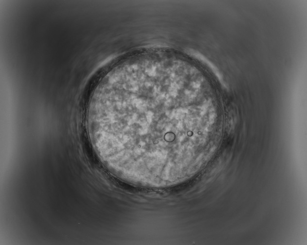 X0000086771255200705111728