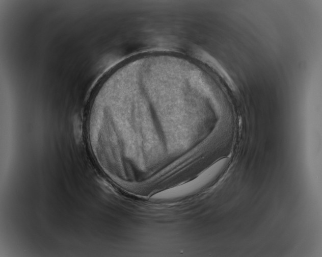 X0000086771260200705111728