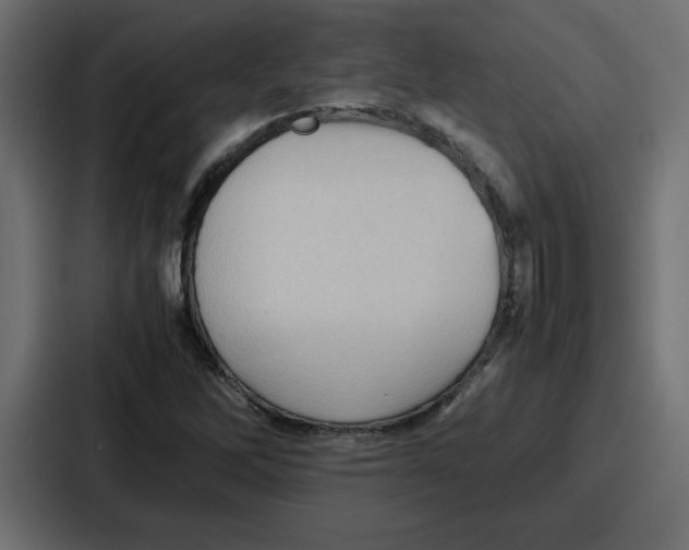X0000086771262200705111728