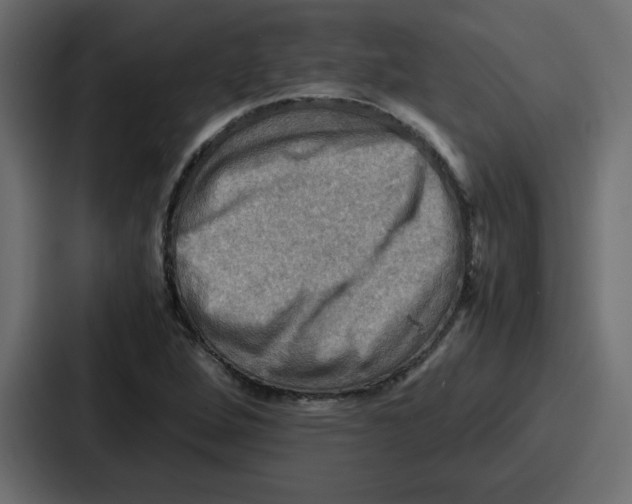 X0000086771264200705111728