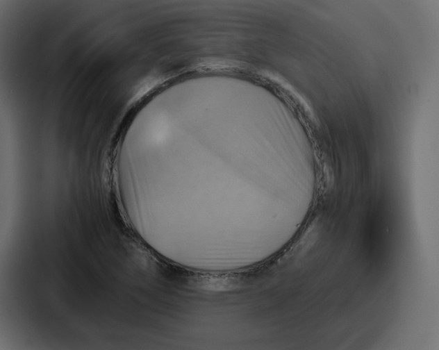 X0000086771266200705111728