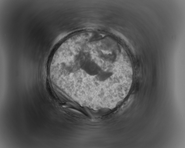 X0000086771267200705111728
