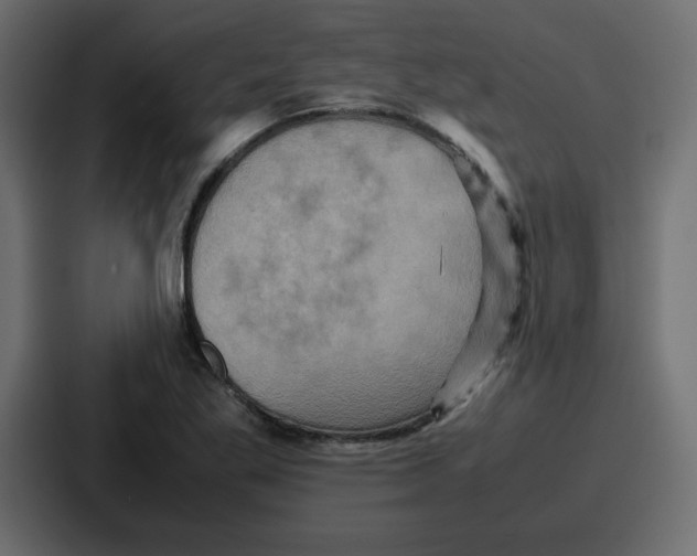 X0000086771269200705111728