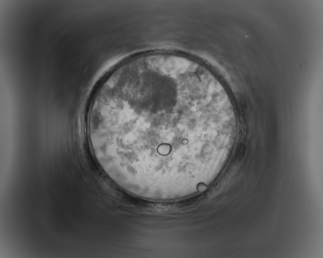 X0000086771271200705111728