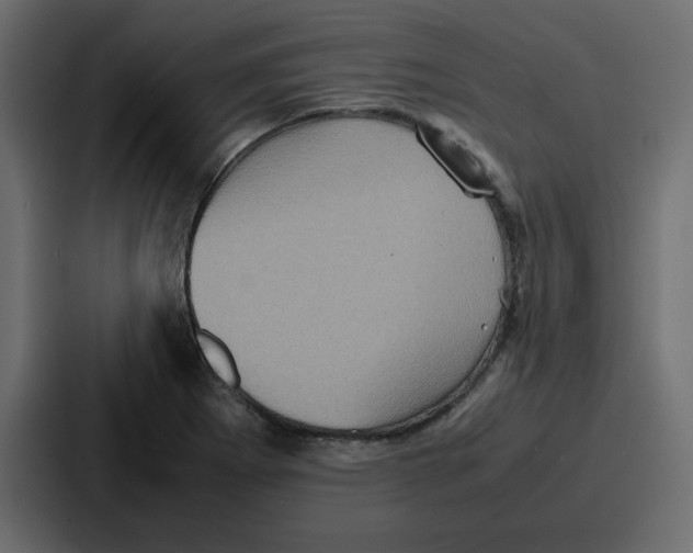 X0000086771273200705111728