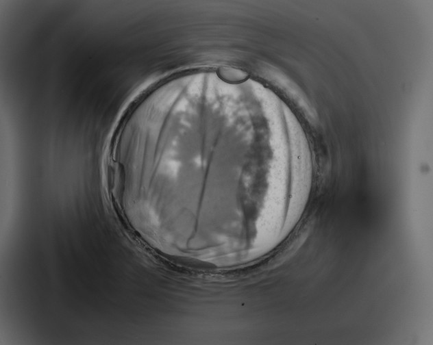 X0000086771275200705111728