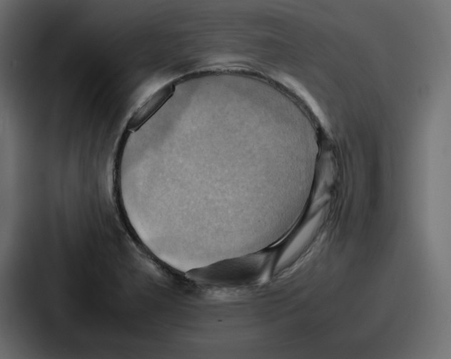X0000086771277200705111728