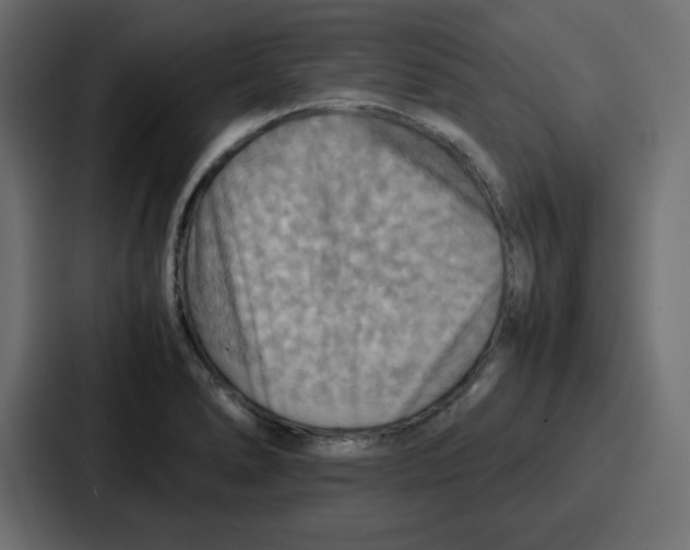 X0000086771278200705111728