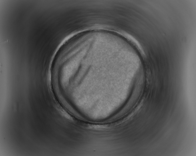 X0000086771280200705111728