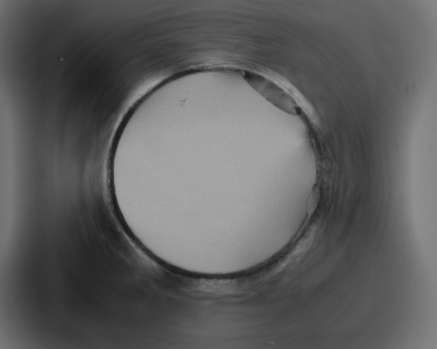 X0000086771285200705111728