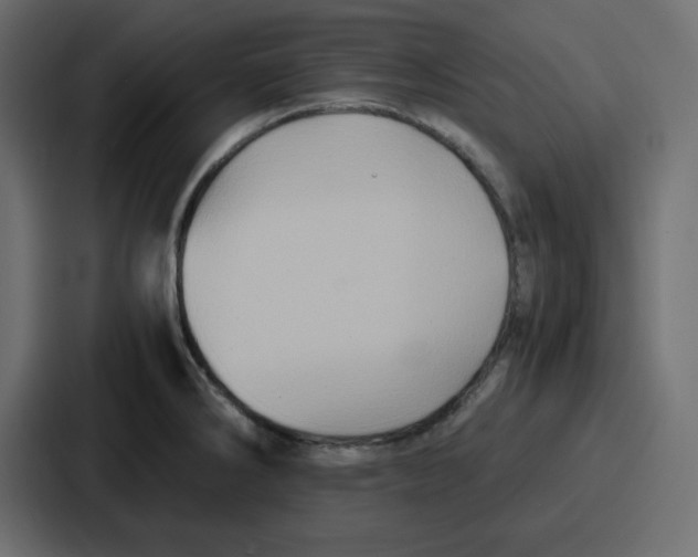 X0000086771286200705111728