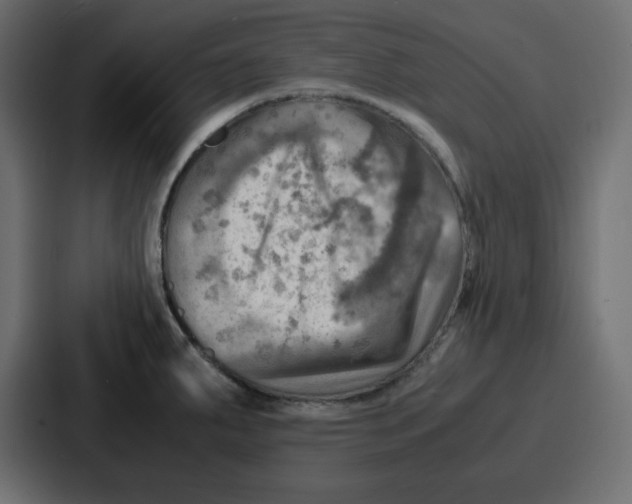 X0000086771287200705111728