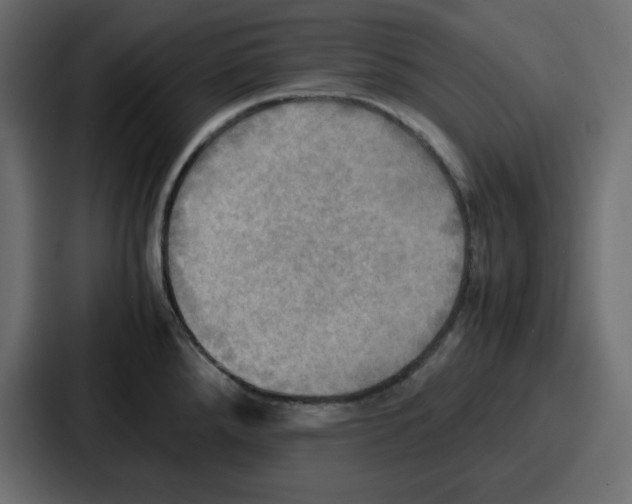 X0000086771288200705111728